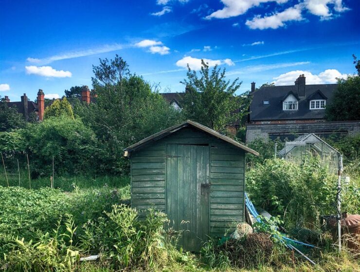 When it comes to transforming outdoor spaces into functional and stylish areas, Shedstore has become one of the UK’s leading online retailers for garden buildings and storage solutions. With decades of experience and a wide selection of products, the platform offers everything from compact sheds to large garden rooms—making it easy to enhance any outdoor space.