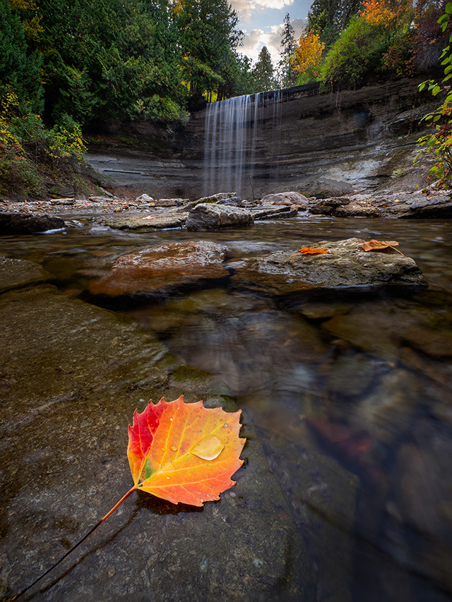Herbstlicher Wasserfall mit orange gefärbtem Ahornblatt auf Felsen im Vordergrund